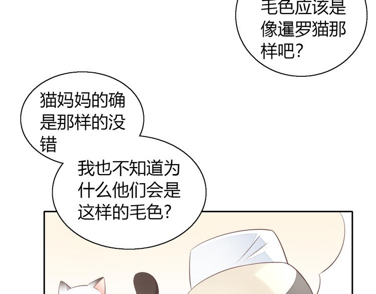 《猫爪之下》漫画最新章节第59话 我们的相遇免费下拉式在线观看章节第【26】张图片