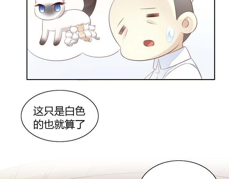 《猫爪之下》漫画最新章节第59话 我们的相遇免费下拉式在线观看章节第【27】张图片