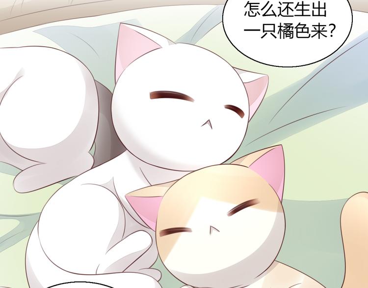 《猫爪之下》漫画最新章节第59话 我们的相遇免费下拉式在线观看章节第【28】张图片