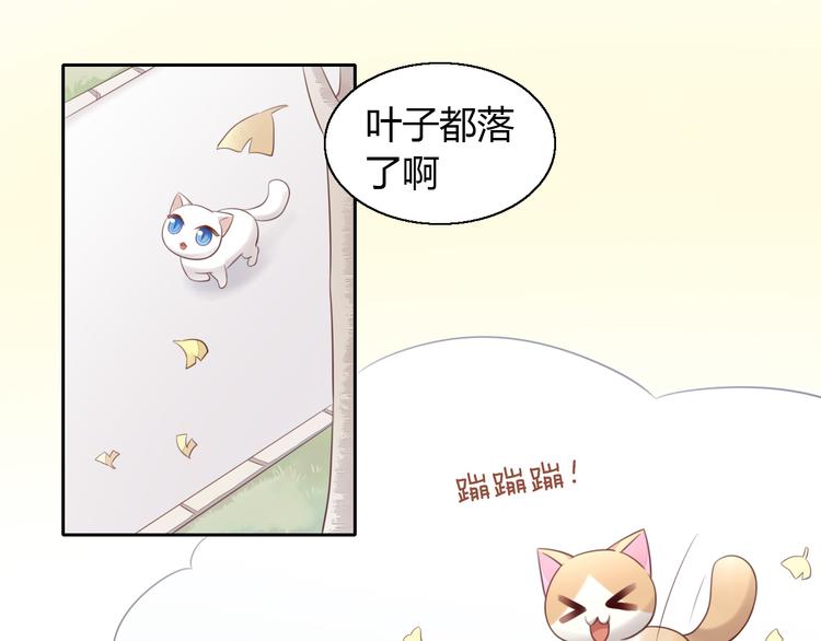 《猫爪之下》漫画最新章节第60话 英雄救美免费下拉式在线观看章节第【40】张图片