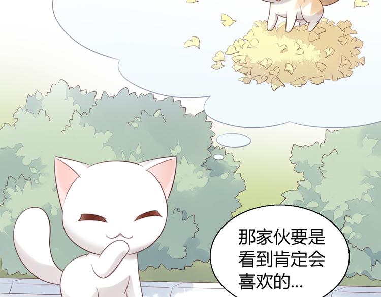 《猫爪之下》漫画最新章节第60话 英雄救美免费下拉式在线观看章节第【41】张图片