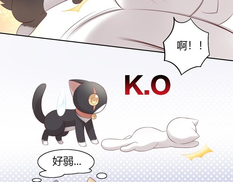 《猫爪之下》漫画最新章节第60话 英雄救美免费下拉式在线观看章节第【68】张图片