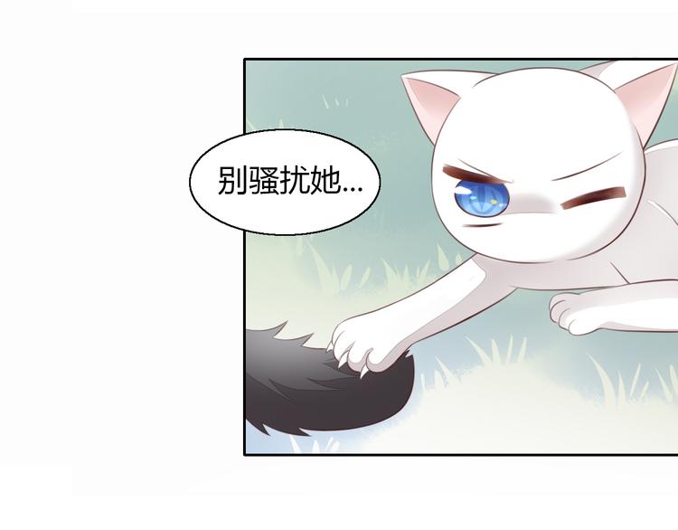 《猫爪之下》漫画最新章节第60话 英雄救美免费下拉式在线观看章节第【71】张图片