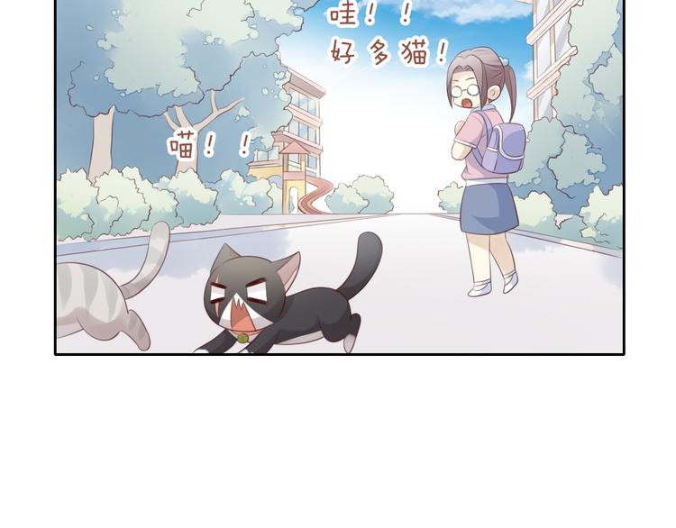 《猫爪之下》漫画最新章节第60话 英雄救美免费下拉式在线观看章节第【85】张图片