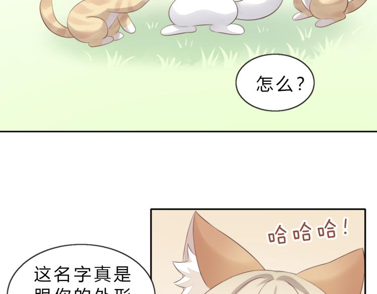 《猫爪之下》漫画最新章节第61话 合作免费下拉式在线观看章节第【10】张图片