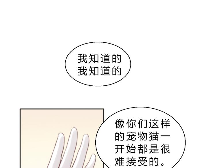 《猫爪之下》漫画最新章节第61话 合作免费下拉式在线观看章节第【21】张图片