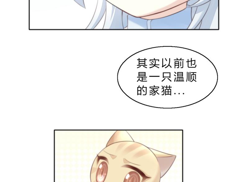 《猫爪之下》漫画最新章节第61话 合作免费下拉式在线观看章节第【24】张图片