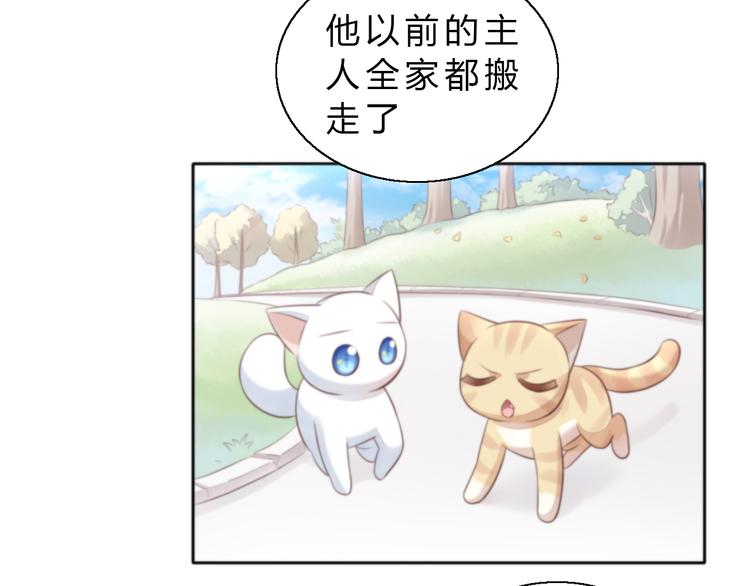 《猫爪之下》漫画最新章节第61话 合作免费下拉式在线观看章节第【26】张图片