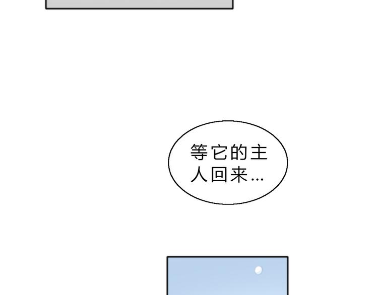 《猫爪之下》漫画最新章节第61话 合作免费下拉式在线观看章节第【29】张图片