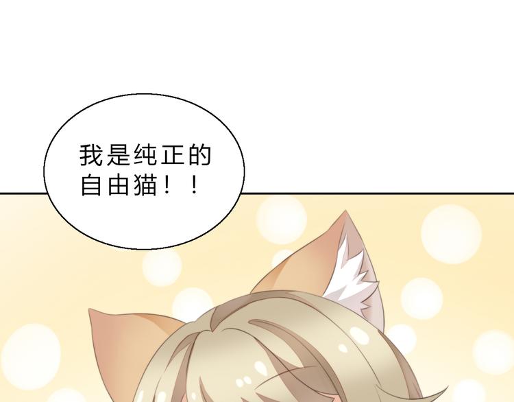 《猫爪之下》漫画最新章节第61话 合作免费下拉式在线观看章节第【48】张图片