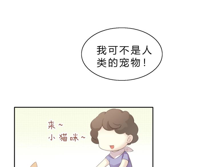 《猫爪之下》漫画最新章节第61话 合作免费下拉式在线观看章节第【50】张图片