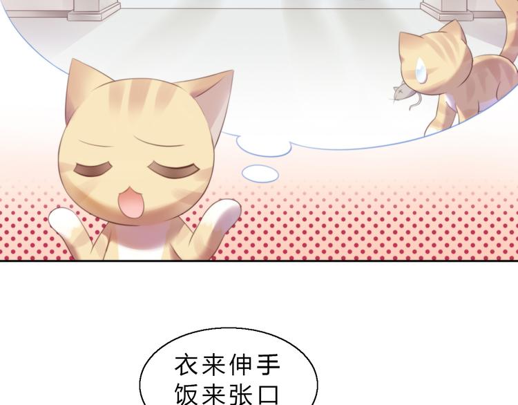 《猫爪之下》漫画最新章节第61话 合作免费下拉式在线观看章节第【53】张图片