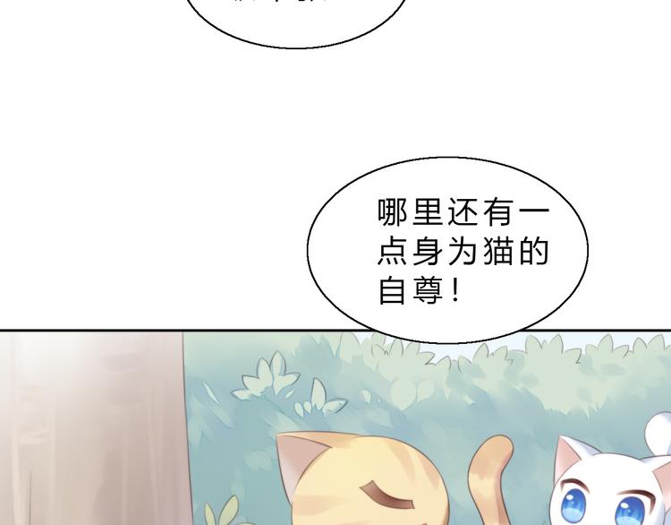 《猫爪之下》漫画最新章节第61话 合作免费下拉式在线观看章节第【54】张图片