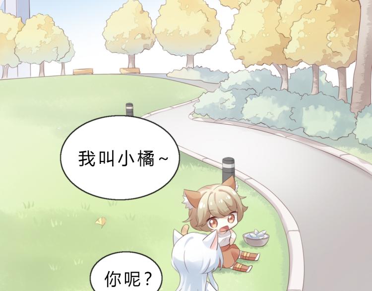 《猫爪之下》漫画最新章节第61话 合作免费下拉式在线观看章节第【6】张图片