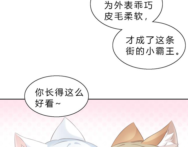 《猫爪之下》漫画最新章节第61话 合作免费下拉式在线观看章节第【61】张图片