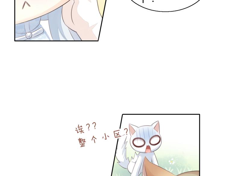 《猫爪之下》漫画最新章节第61话 合作免费下拉式在线观看章节第【64】张图片