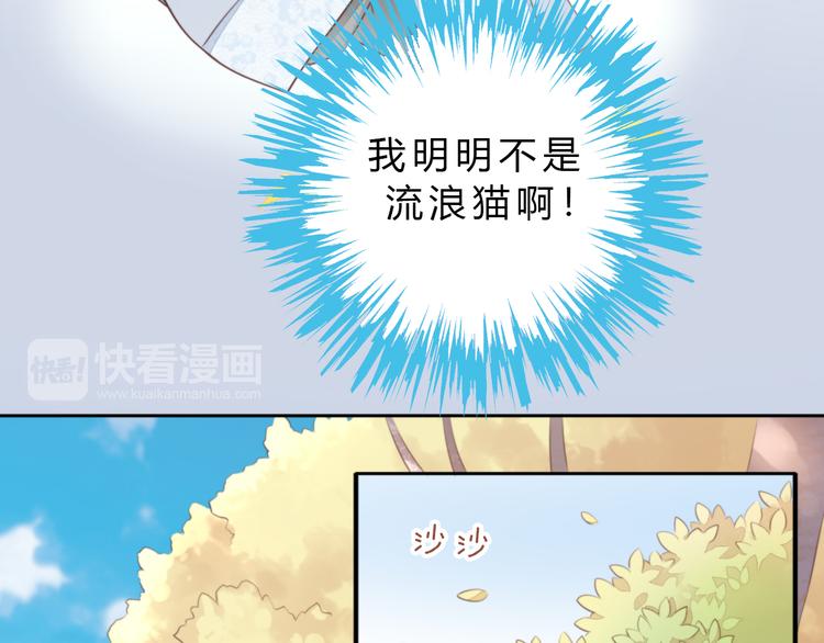 《猫爪之下》漫画最新章节第61话 合作免费下拉式在线观看章节第【78】张图片