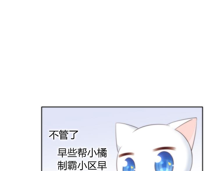 《猫爪之下》漫画最新章节第62话 颜值至上免费下拉式在线观看章节第【27】张图片