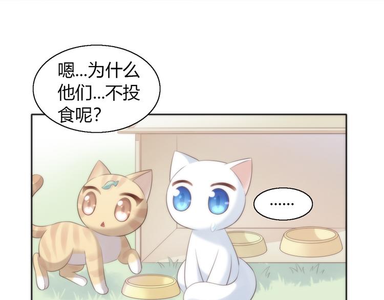 《猫爪之下》漫画最新章节第62话 颜值至上免费下拉式在线观看章节第【42】张图片