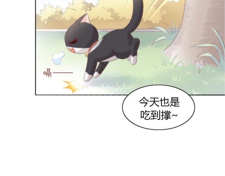 《猫爪之下》漫画最新章节第62话 颜值至上免费下拉式在线观看章节第【71】张图片