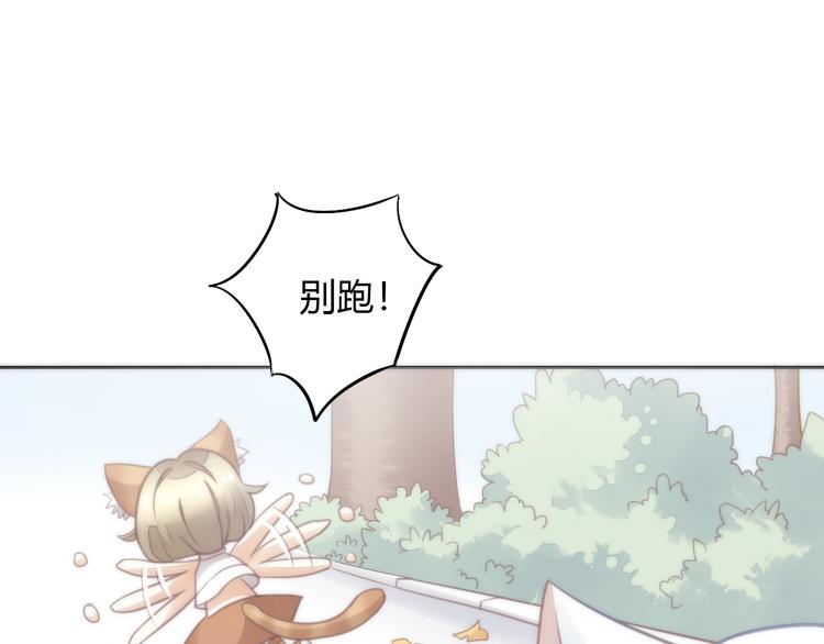 《猫爪之下》漫画最新章节第62话 颜值至上免费下拉式在线观看章节第【75】张图片