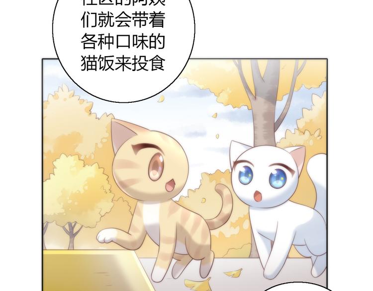 《猫爪之下》漫画最新章节第62话 颜值至上免费下拉式在线观看章节第【8】张图片