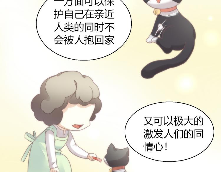 《猫爪之下》漫画最新章节第62话 颜值至上免费下拉式在线观看章节第【84】张图片