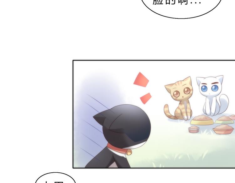 《猫爪之下》漫画最新章节第63话 她的秘密免费下拉式在线观看章节第【22】张图片