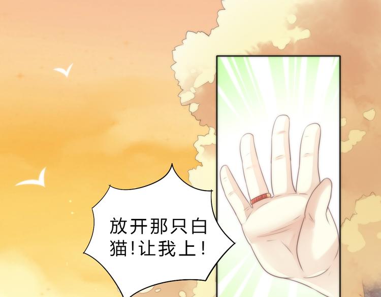 《猫爪之下》漫画最新章节第63话 她的秘密免费下拉式在线观看章节第【5】张图片