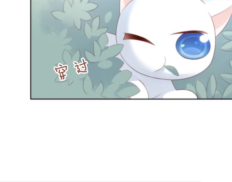 《猫爪之下》漫画最新章节第63话 她的秘密免费下拉式在线观看章节第【56】张图片