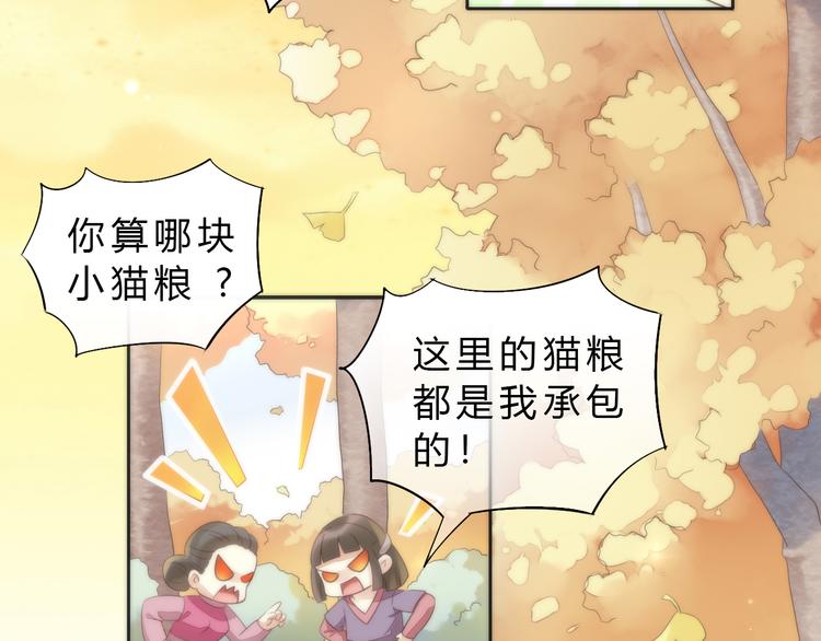 《猫爪之下》漫画最新章节第63话 她的秘密免费下拉式在线观看章节第【6】张图片