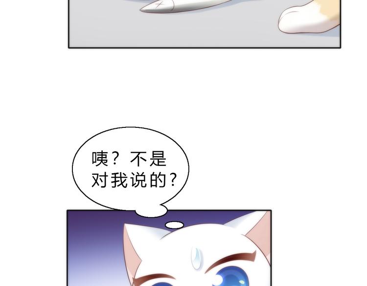 《猫爪之下》漫画最新章节第63话 她的秘密免费下拉式在线观看章节第【65】张图片