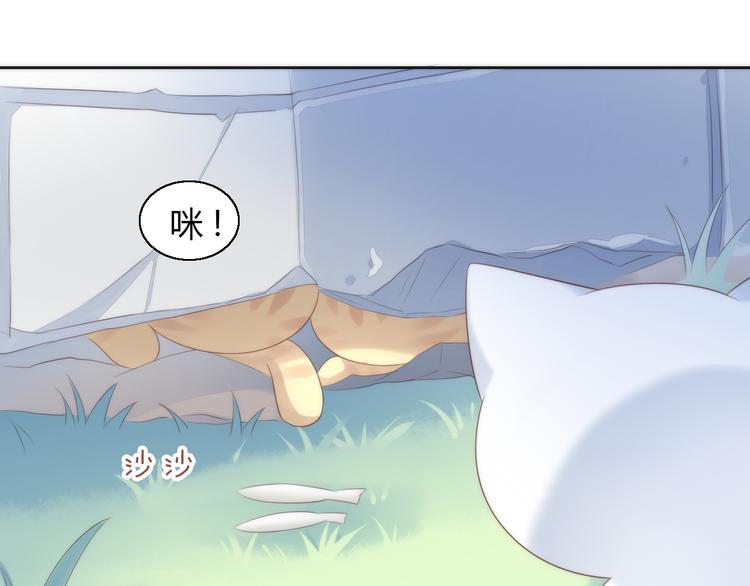 《猫爪之下》漫画最新章节第63话 她的秘密免费下拉式在线观看章节第【67】张图片