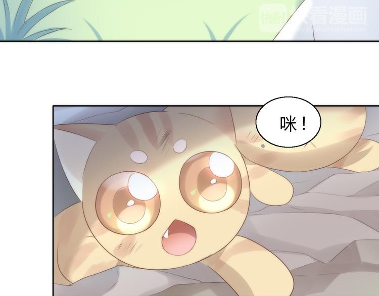 《猫爪之下》漫画最新章节第63话 她的秘密免费下拉式在线观看章节第【68】张图片