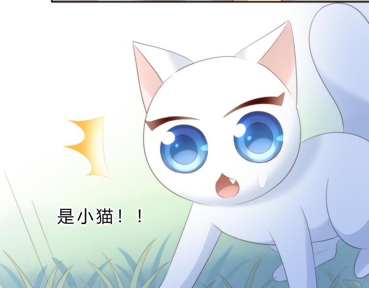 《猫爪之下》漫画最新章节第63话 她的秘密免费下拉式在线观看章节第【69】张图片