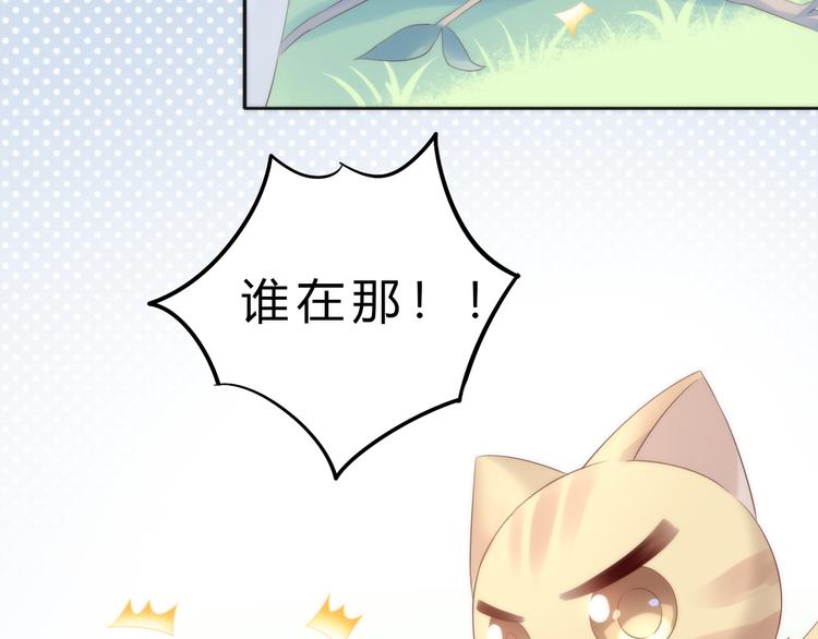 《猫爪之下》漫画最新章节第63话 她的秘密免费下拉式在线观看章节第【72】张图片