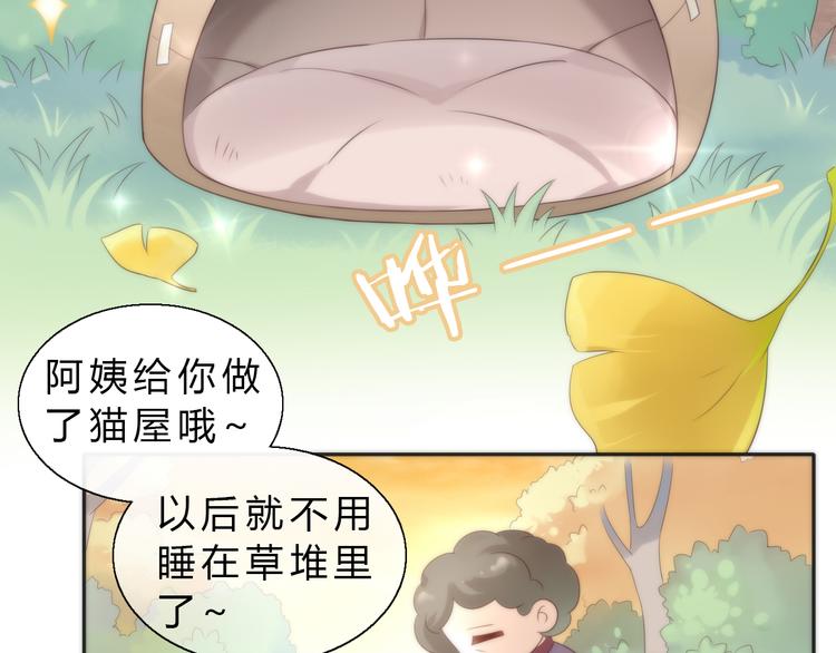 《猫爪之下》漫画最新章节第63话 她的秘密免费下拉式在线观看章节第【8】张图片