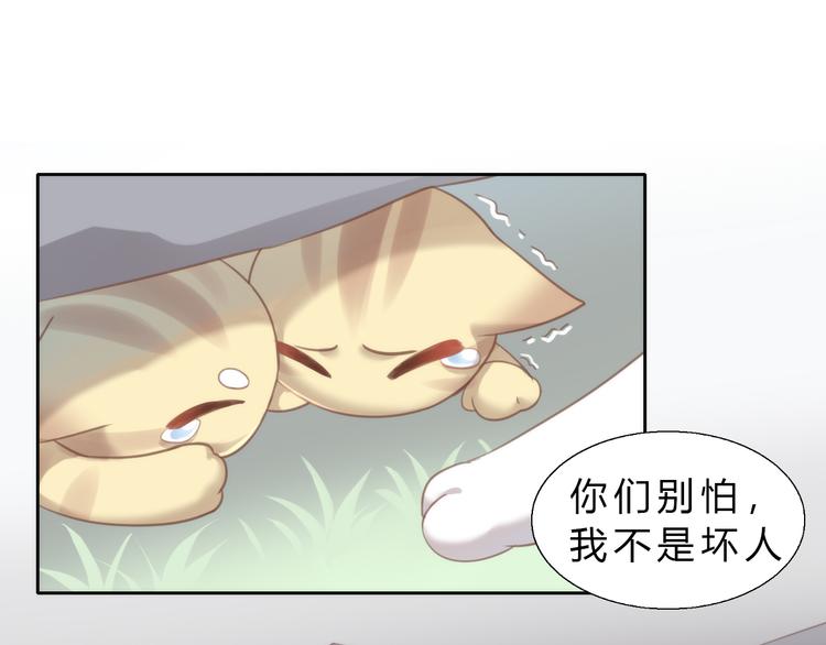 《猫爪之下》漫画最新章节第64话 不速之客免费下拉式在线观看章节第【12】张图片