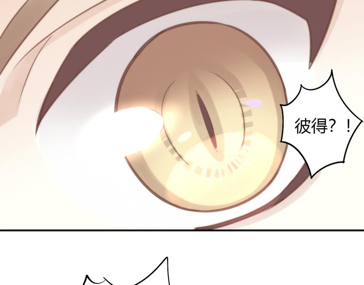 《猫爪之下》漫画最新章节第64话 不速之客免费下拉式在线观看章节第【73】张图片