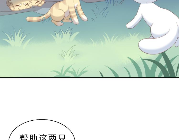 《猫爪之下》漫画最新章节第64话 不速之客免费下拉式在线观看章节第【8】张图片