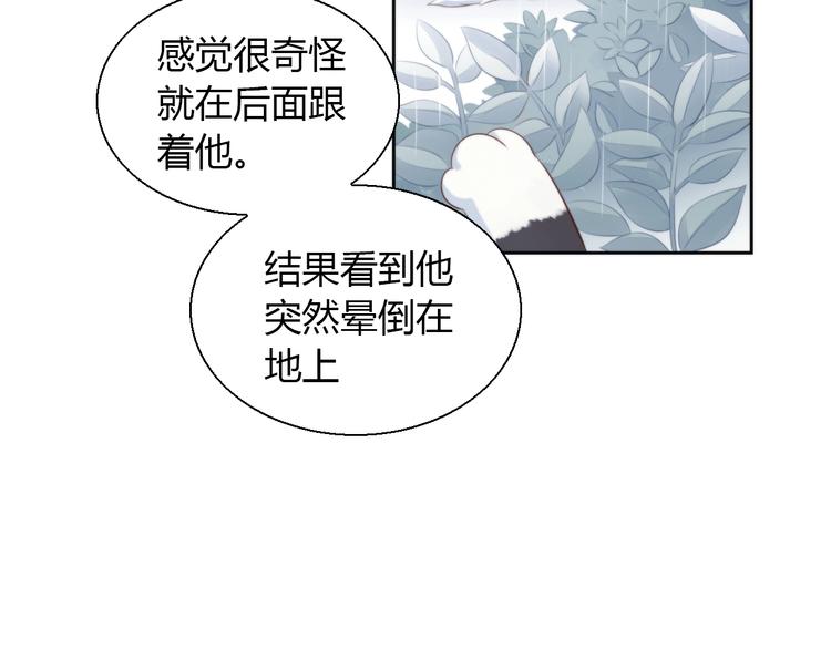 《猫爪之下》漫画最新章节第67话 挽救免费下拉式在线观看章节第【110】张图片