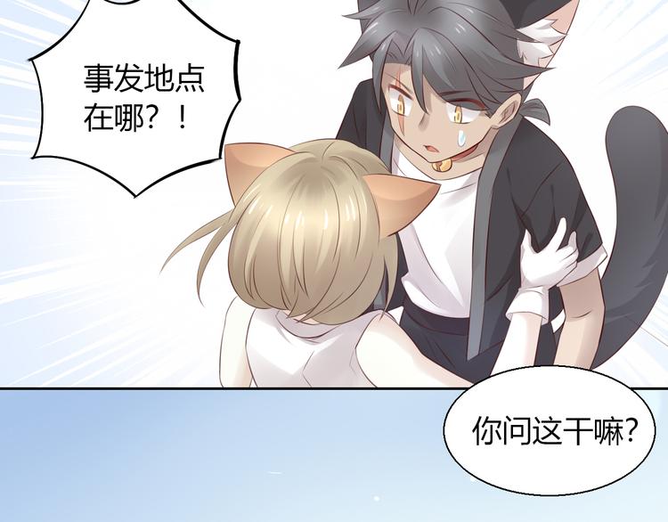 《猫爪之下》漫画最新章节第67话 挽救免费下拉式在线观看章节第【121】张图片