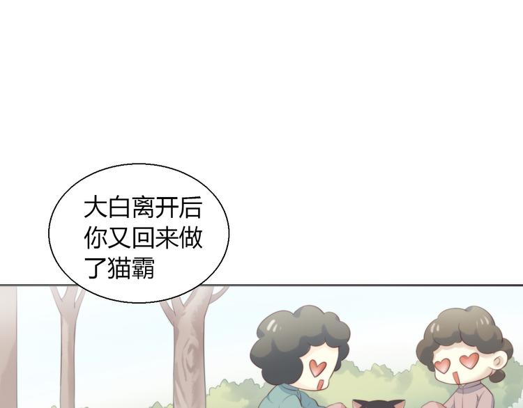 《猫爪之下》漫画最新章节第67话 挽救免费下拉式在线观看章节第【72】张图片