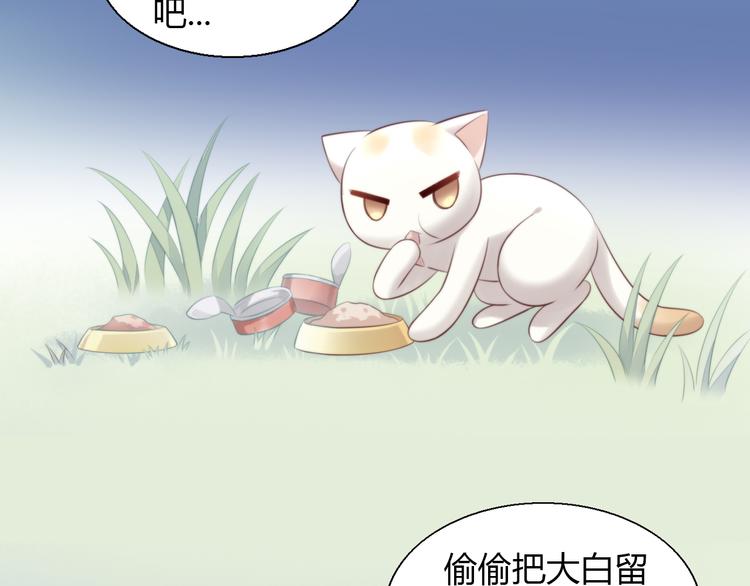 《猫爪之下》漫画最新章节第67话 挽救免费下拉式在线观看章节第【74】张图片