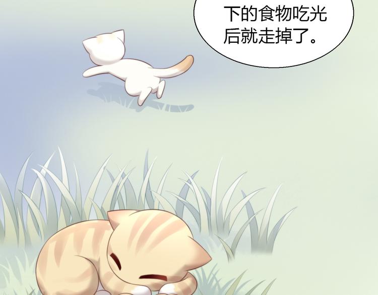 《猫爪之下》漫画最新章节第67话 挽救免费下拉式在线观看章节第【75】张图片