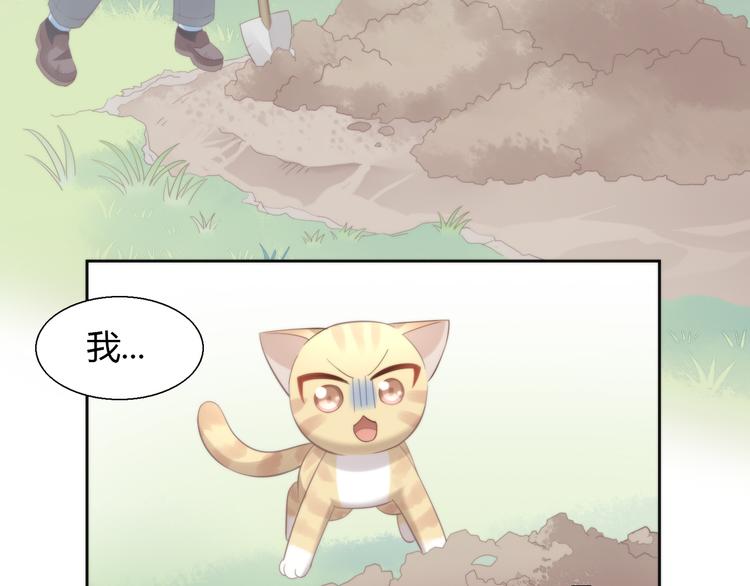 《猫爪之下》漫画最新章节第68话 突发意外免费下拉式在线观看章节第【104】张图片