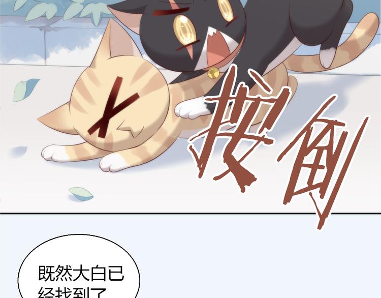 《猫爪之下》漫画最新章节第68话 突发意外免费下拉式在线观看章节第【13】张图片