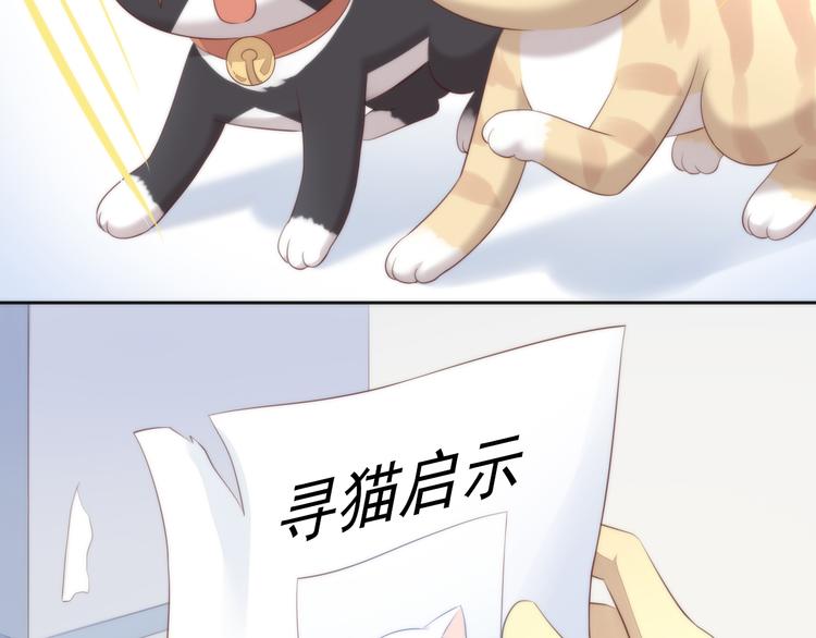 《猫爪之下》漫画最新章节第68话 突发意外免费下拉式在线观看章节第【19】张图片