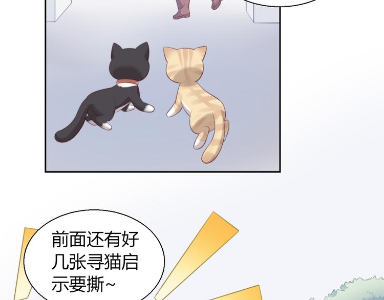 《猫爪之下》漫画最新章节第68话 突发意外免费下拉式在线观看章节第【45】张图片