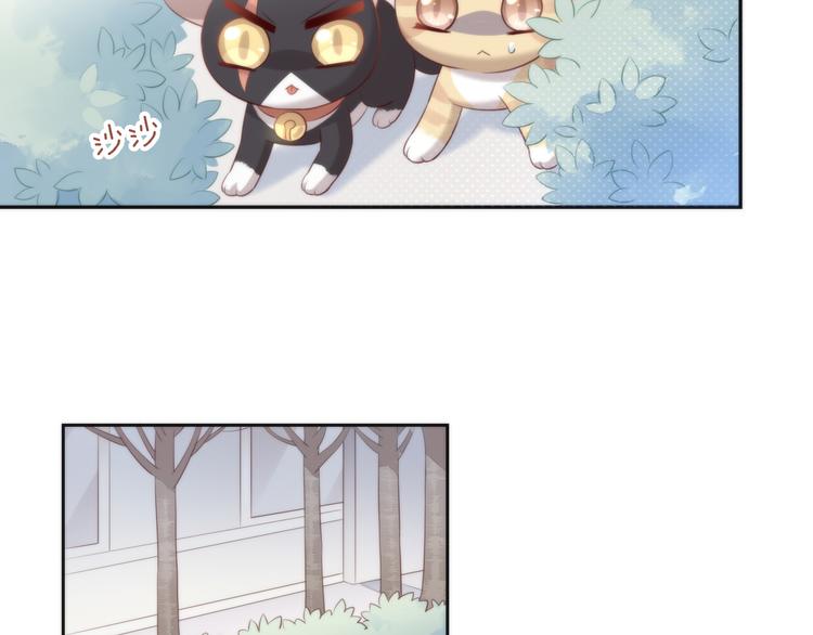 《猫爪之下》漫画最新章节第68话 突发意外免费下拉式在线观看章节第【7】张图片